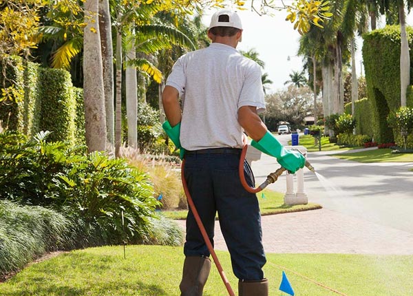 About Crescent PA Pest Control Pros